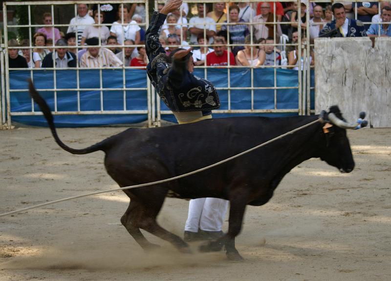 Aquitanien (505).JPG